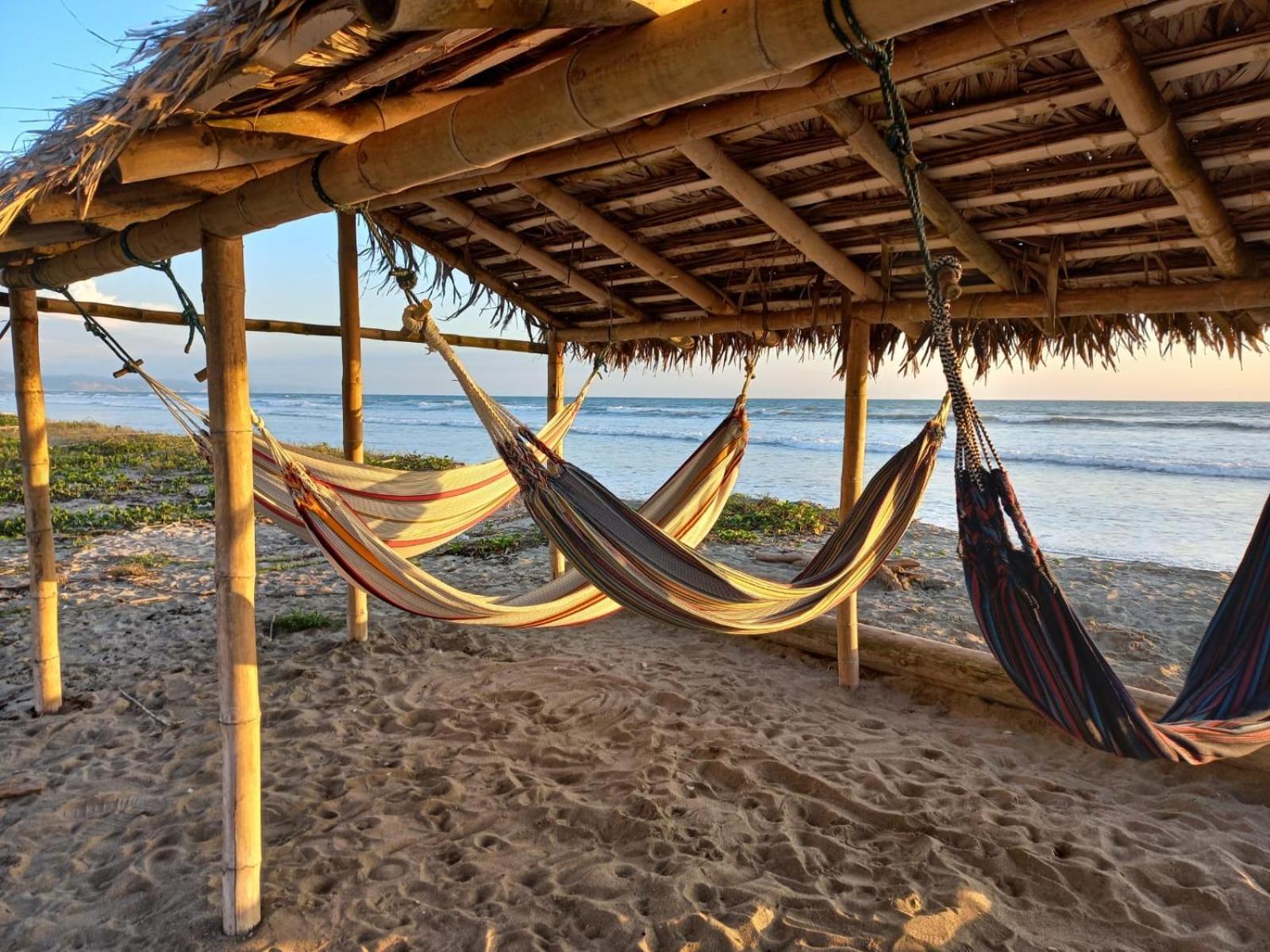 Canoa South Beach Экстерьер фото